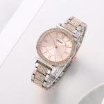FOSSIL WATCH