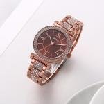 FOSSIL WATCH