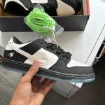 SB DUNK PIGEON