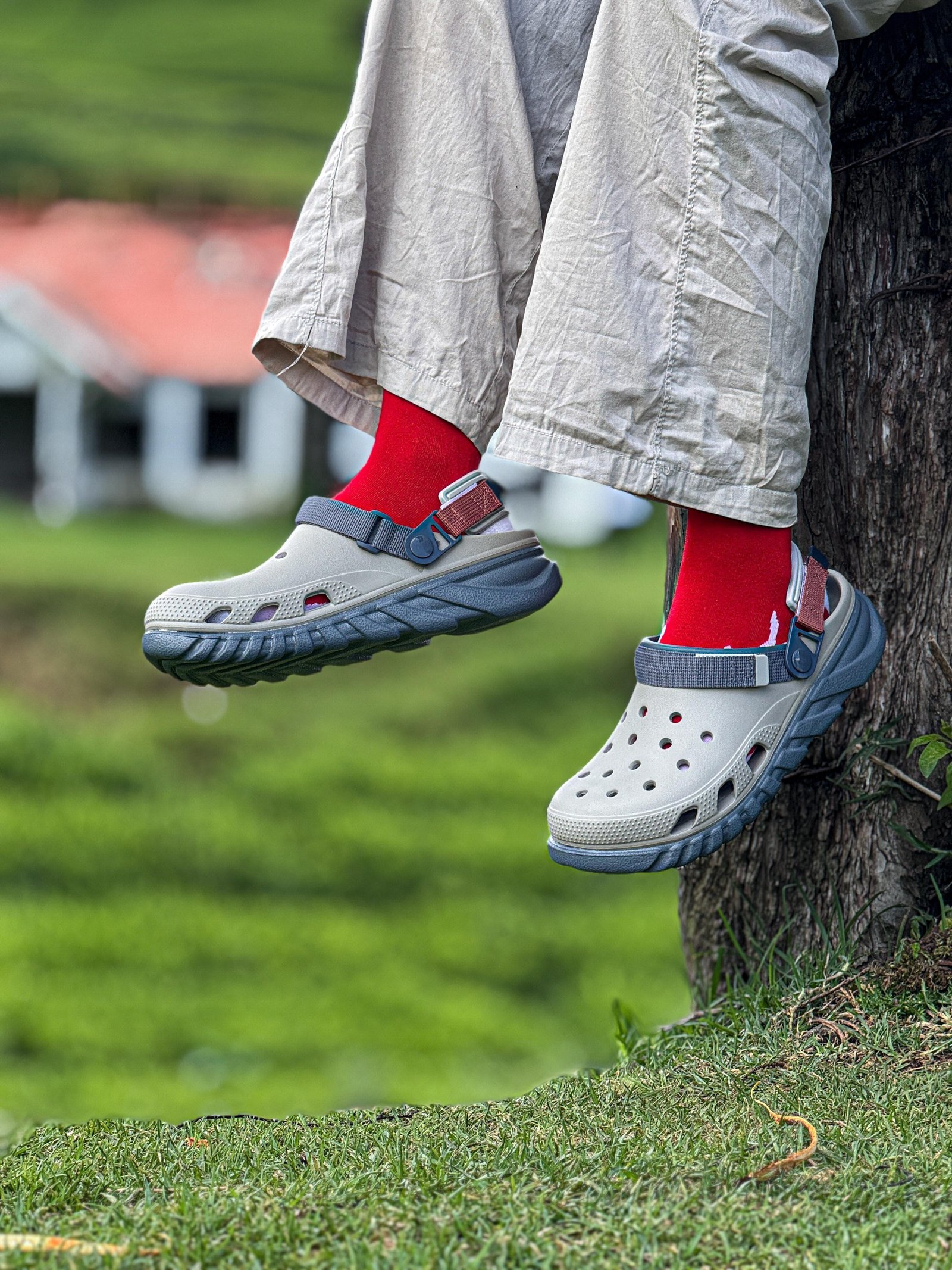 CLOGS