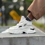 IMPORTED SHOE